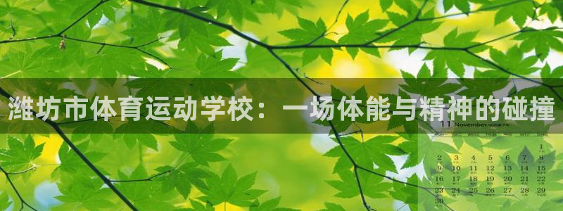 betway西汉姆官网：潍坊市体育运动学校：一场体能与精神的碰撞