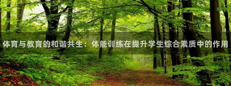 betway西汉姆：体育与教育的和谐共生：体能训练在提升学生综合素质中的作用