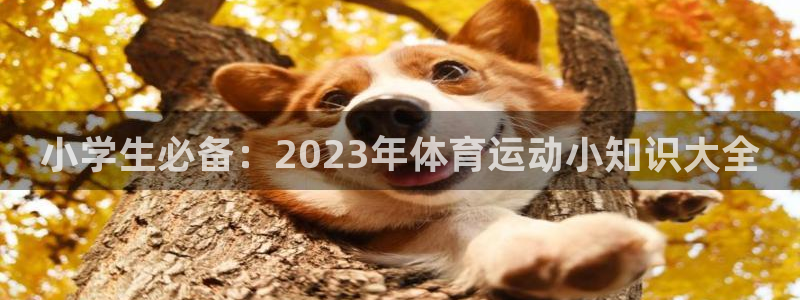 betway西汉姆：小学生必备：2023年体育运动小知识大全