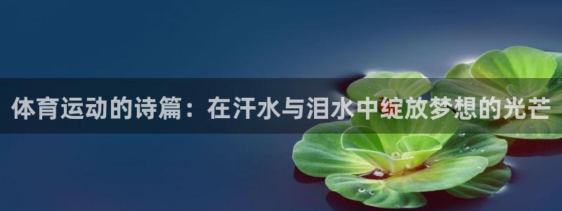 必威betway西汉姆联：体育运动的诗篇：在汗水与泪水中绽放梦想的光芒
