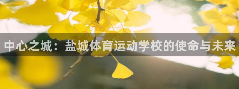 betway西汉姆官网：中心之城：盐城体育运动学校的使命与未来