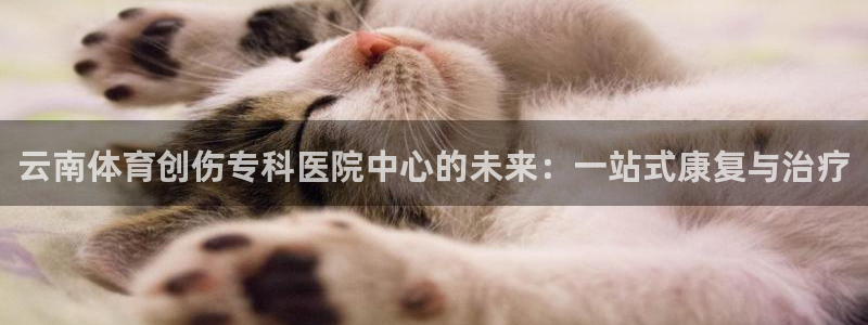betway西汉姆：云南体育创伤专科医院中心的未来：一站式康复与治疗