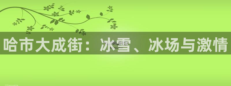 betway西汉姆联：哈市大成街：冰雪、冰场与激情